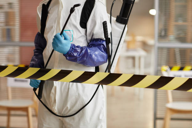 Professional Sewage Cleanup technician working in Nixon, PA